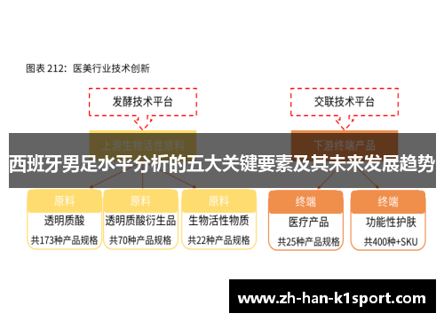 西班牙男足水平分析的五大关键要素及其未来发展趋势